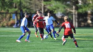  niños jugando a la pelota en equipo en un parque